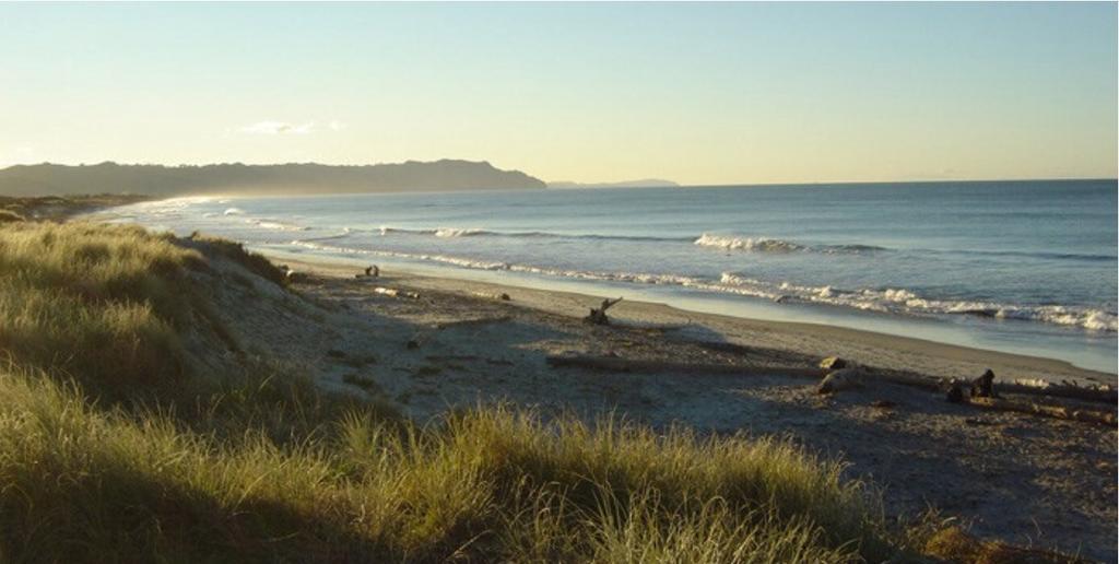 Two Bare Feet Apartment Waihi Bagian luar foto