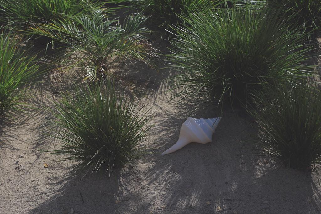 Two Bare Feet Apartment Waihi Bagian luar foto